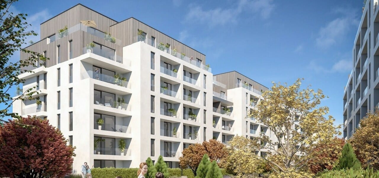 4 Camere The Ivy