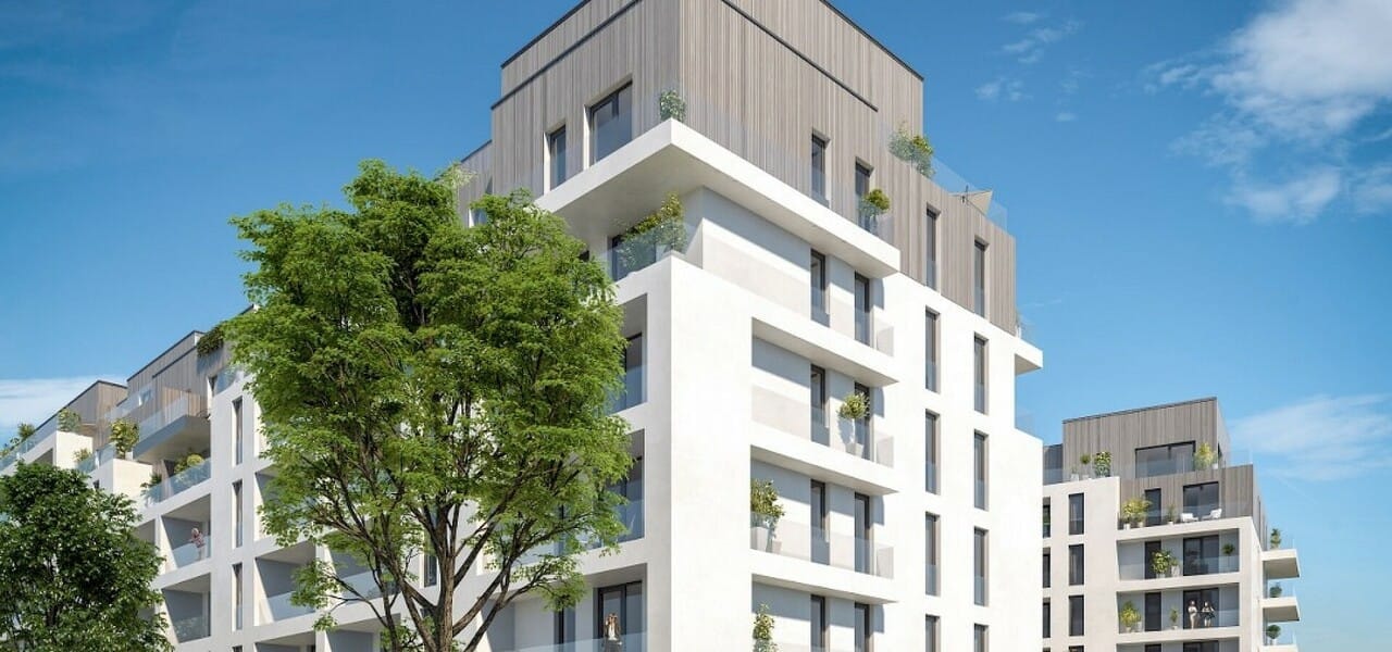 4 Camere The Ivy