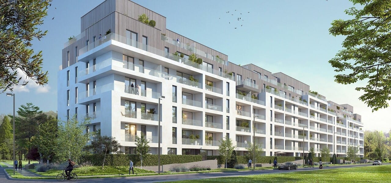 4 Camere The Ivy